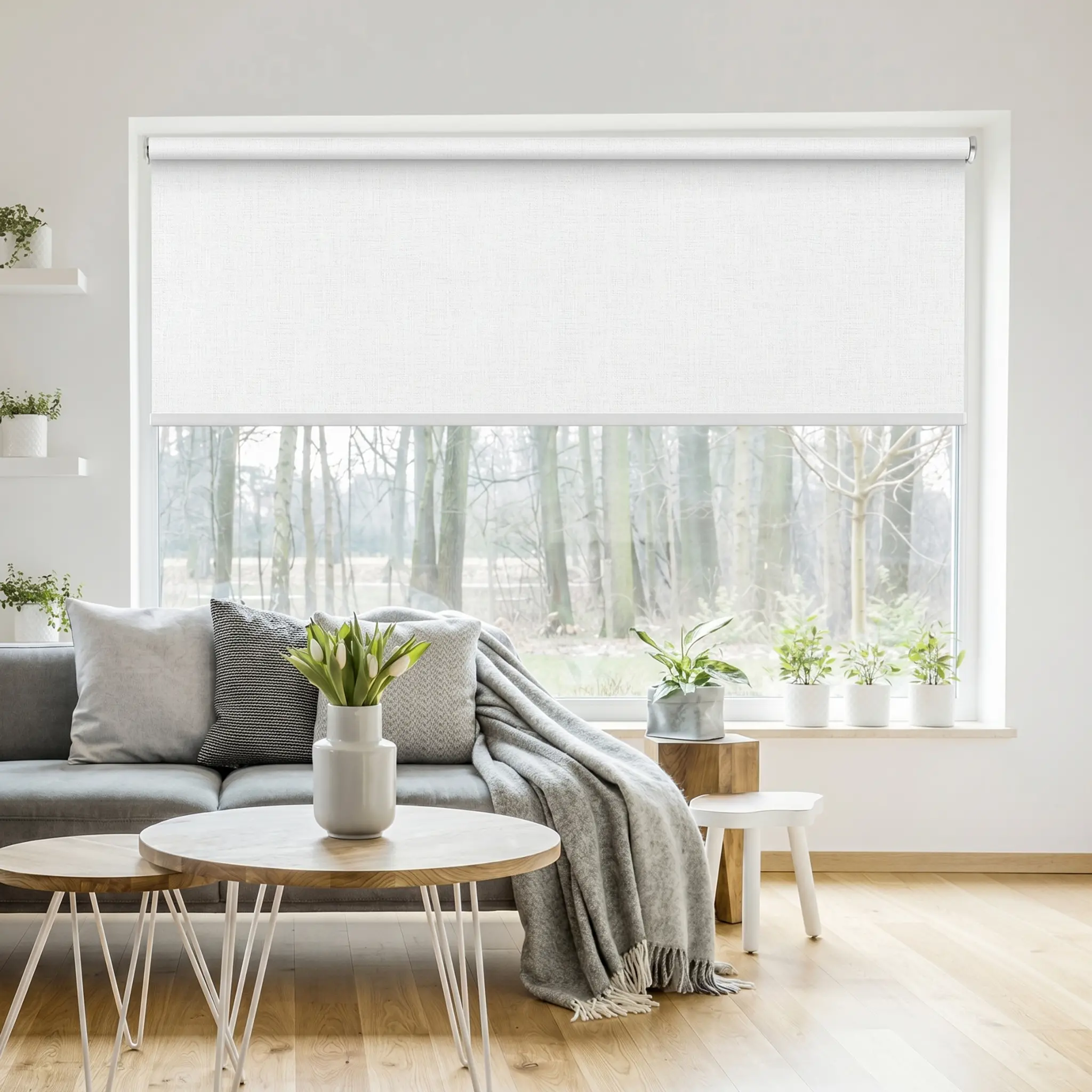  Tende termiche anticalore 