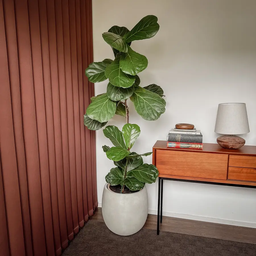 Tenda verticale oscurante tinta unita marrone - aperta