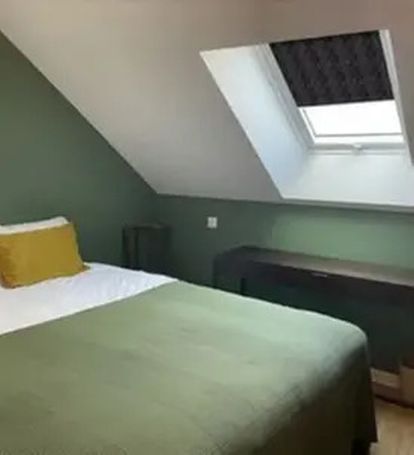  Tende per Velux Filtranti con motivi