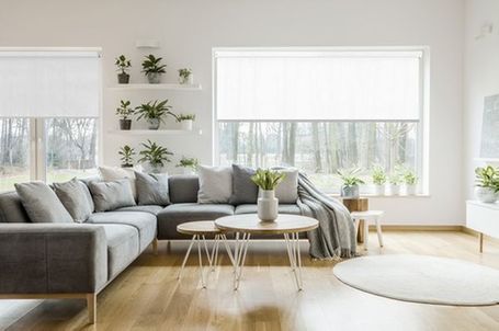  Tende a rullo Filtranti tinta unita