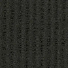 Antracite.webp