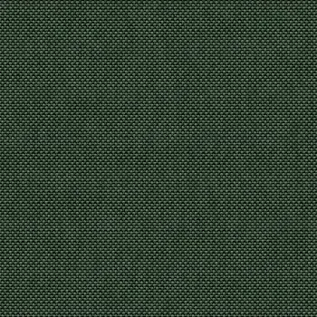 Cuscino-per-lettino-prendisole---verde-foresta_liste.webp