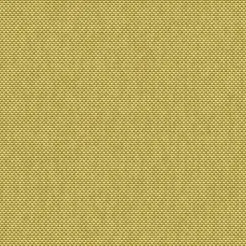 Cuscino-per-lettino-prendisole---senape_liste.webp