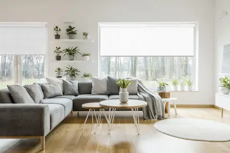  Tende a rullo Filtranti tinta unita 