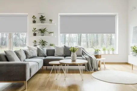  Tende a rullo Termiche - Ignifugo 🔥 