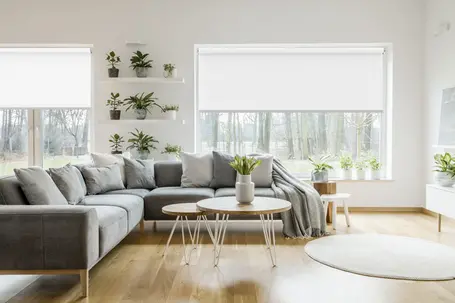  Tende a rullo Oscuranti tinta unita 