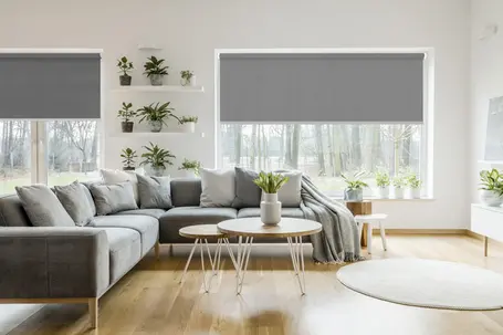  Tende a rullo Filtranti tinta unita 